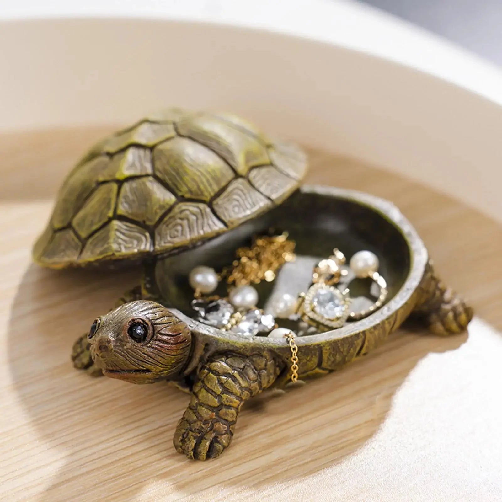 Schildpad Schatbewaarder