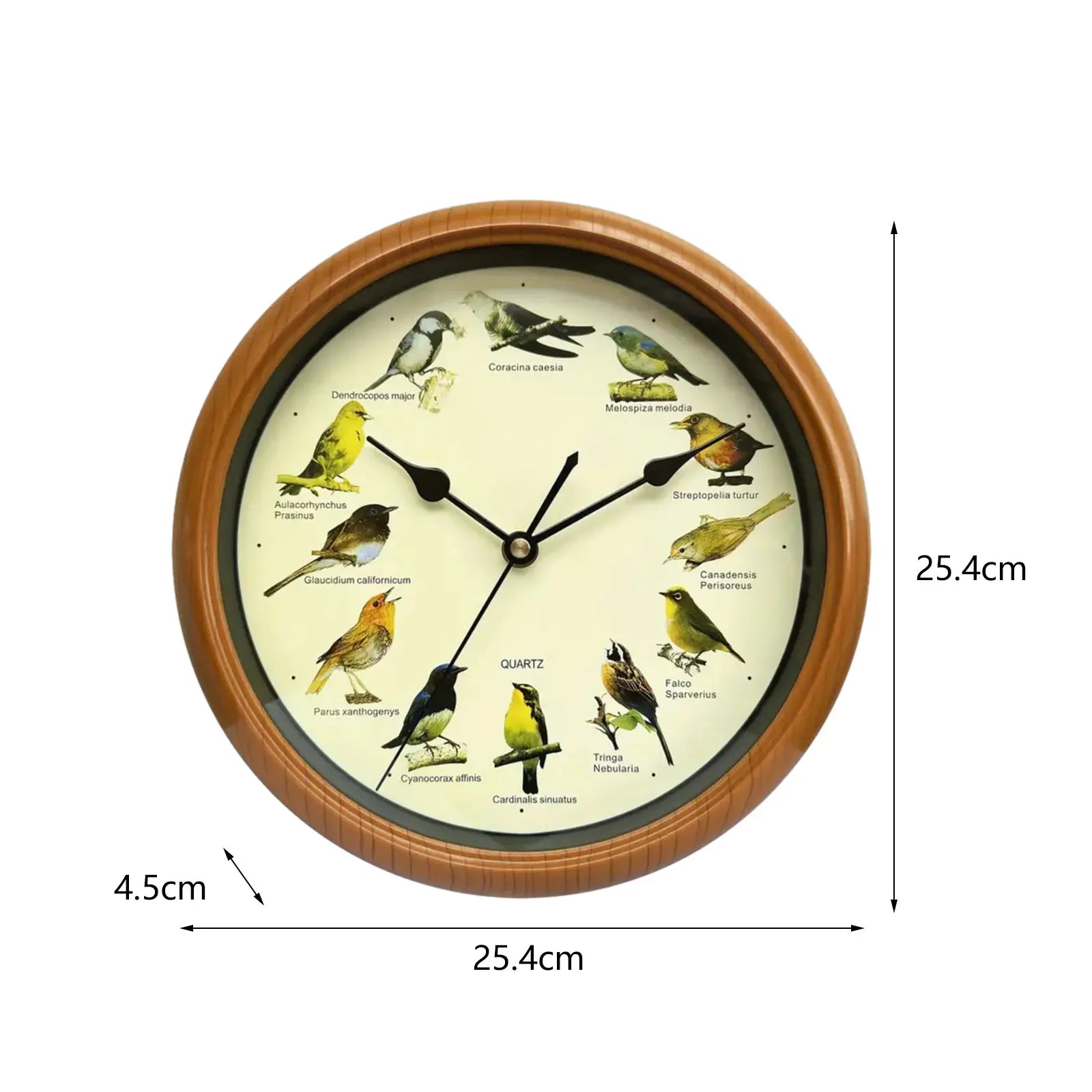 10 Inch Zingende Vogel Wandklok – Decoratieve Klok met Vogelgeluiden voor Thuis of Kantoor
