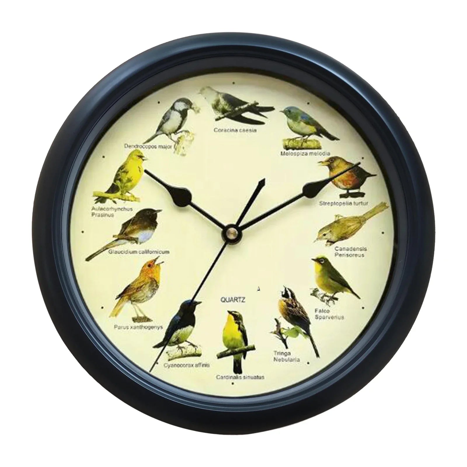 10 Inch Zingende Vogel Wandklok – Decoratieve Klok met Vogelgeluiden voor Thuis of Kantoor