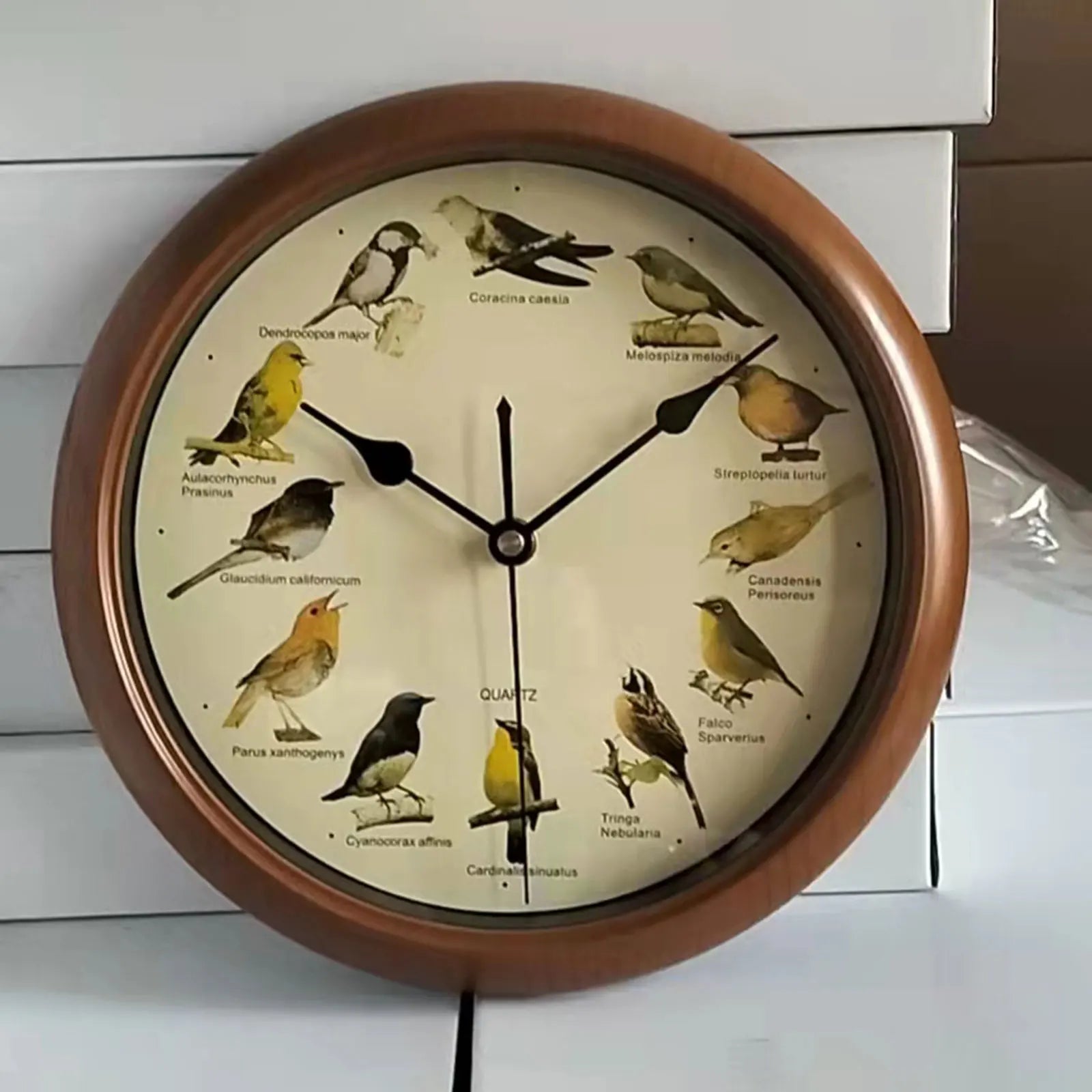 10 Inch Zingende Vogel Wandklok – Decoratieve Klok met Vogelgeluiden voor Thuis of Kantoor