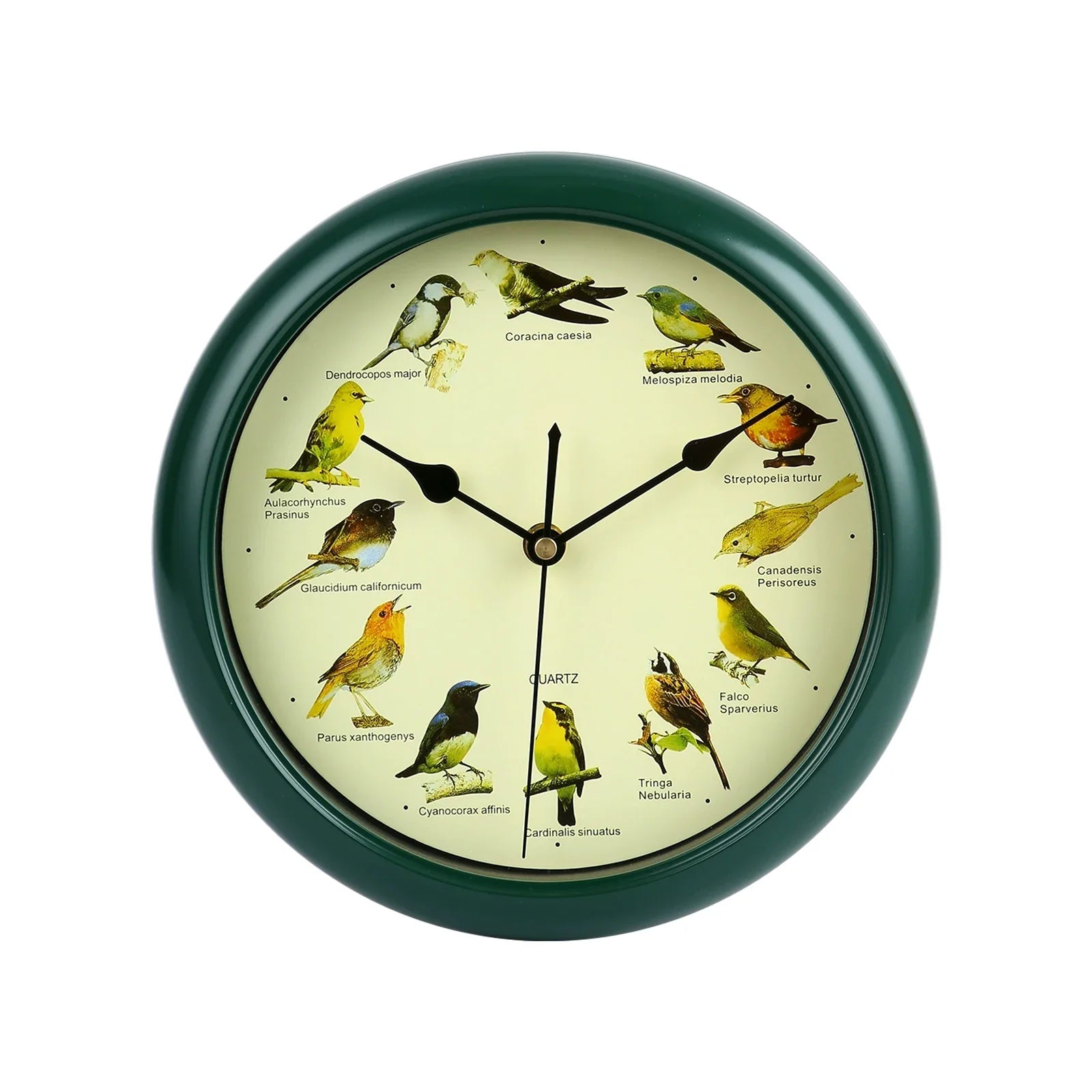 10 Inch Zingende Vogel Wandklok – Decoratieve Klok met Vogelgeluiden voor Thuis of Kantoor