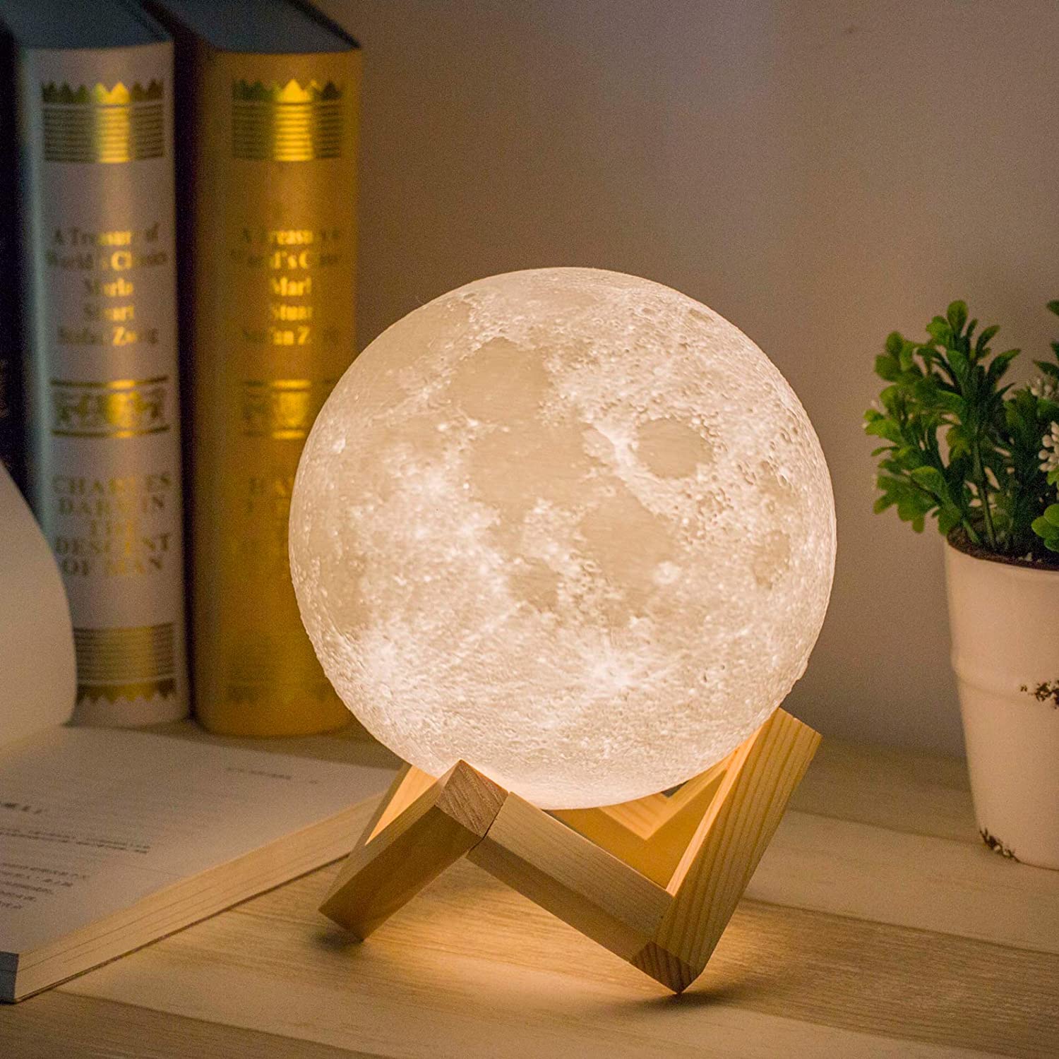 LED Maan Licht Lamp